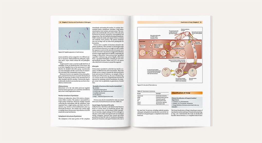 Infection - sample page