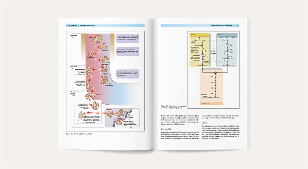 Infection - sample page