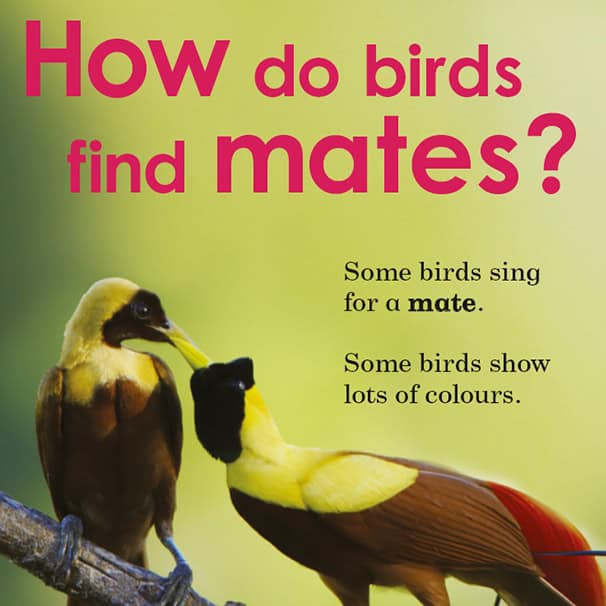 Ladybird Do You Know? series - How do birds find mates? - cover